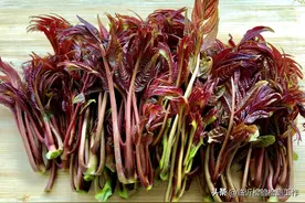 饮食用药小常识每周科普—《香椿》图片