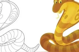 生肖蛇与生肖兔有什么不同，谁更厉害？图片