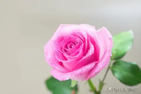 一个女人经常穿别人给的旧衣服，她往往会有3种命运，很准图片