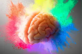 神经心理学｜心理学的五个主要观点解释图片
