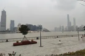 浦东塘桥板块实探图片