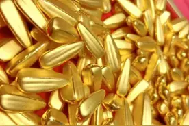 溧阳农民在自家鱼塘挖出3粒金子，却被告知，这不属于你家图片