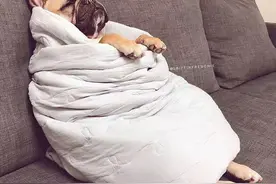 到底什么是“卷”，它定义是什么？图片