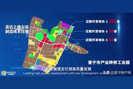 普宁将打造“1+2+4”重点招商平台，实现全域联动高质量发展图片