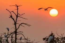 桃源泛舟 || 少有这样的生命实践图片