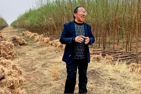 “跪地求水”事件调查：孙国友承包万亩沙地，20年仅栽种600多亩图片