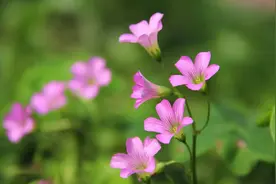 饭局上，一个情商很高的人，会注重这几个细节图片