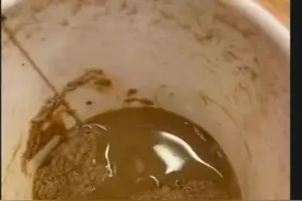 上外学生咖啡杯投放异物事件，校园投毒事件还有很多......图片