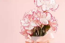 听我说，谢谢你……抽奖赢话费，让爱不断线！图片