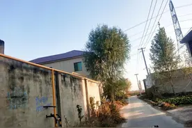 农村建房：不怕青龙万丈高，就怕白虎抬头望，指的是什么图片