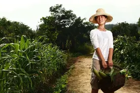 清华女博士后毕业回乡种地，11年后年薪800万，她怎么做到的？图片