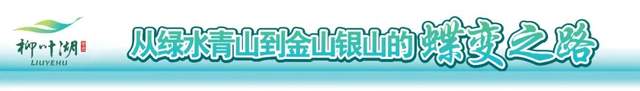 柳叶湖建区30周年回眸｜从绿水青山到金山银山的蝶变之路(图1)