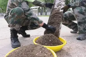 北湾，这个蚊子王国，是中国最危险的边防线图片