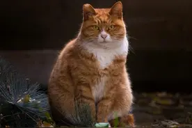 十二月：山河无恙，你我安好图片