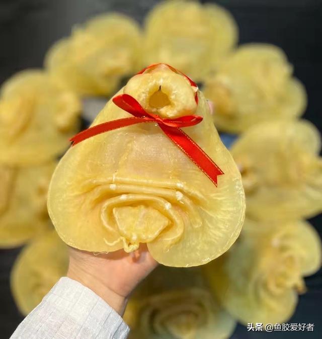 大口赤嘴鱼胶 2026年大口赤嘴鱼胶图片