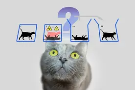 AI 眼中薛定谔的猫是死是活？图片