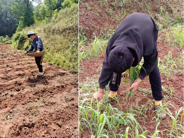 四川省民生研究会新媒体中心-官网