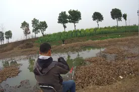 仲春野钓要找滩，这种滩一定出鱼，小爆护真的不难图片