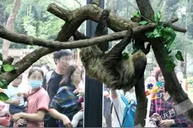 问政回音 | 重庆动物园动物叫声扰民？园方：加强管理图片