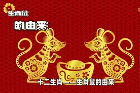 十二生肖之鼠——生肖鼠的由来图片