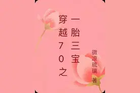 穿越七零之一胎三宝图片
