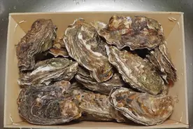 高嘌呤食物排行榜，基围虾倒数第二，生蚝排第三，建议了解图片