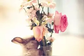 一位75岁老人说：过年子女转我10000我没要，老了，要钱干什么？图片