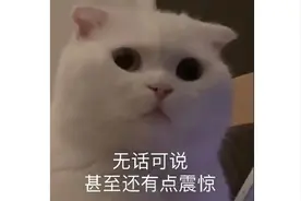 让网易挠头的神仙，鲍比科蒂克图片