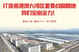 向总书记汇报｜打造粤港澳大湾区重要战略腹地 我们全心全力图片