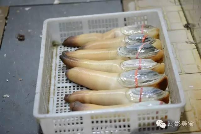 花胶选几级的 花胶等级顺序鱼胶排名大全