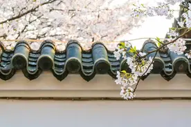 人民日报：100首春天唯美古诗词!图片