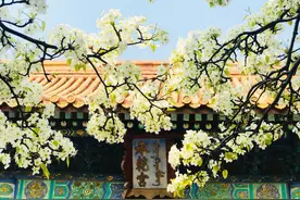 对你一往情深，为你相思到底，写一封情书告诉你，我真的好想你图片