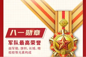 系列图解②｜新时代军队勋章式样详解图片