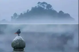 后知后觉图片