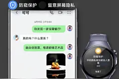 华为鸿蒙系统“防窥保护”功能将适配Mate 70系列部分机型图片