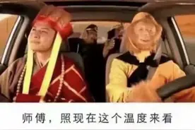 虾热熟了，鸟热晕了…网友高温段子笑伤了图片