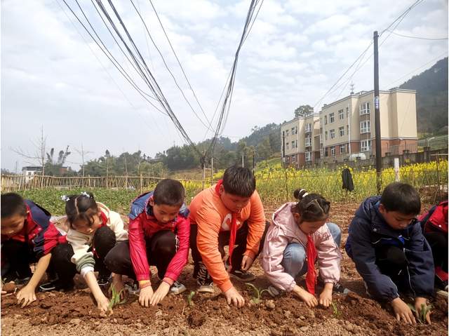 四川省民生研究会新媒体中心-官网