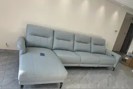 “贵妃椅”沙发为何选择的人越来越少，这4个缺陷，让人望而却步图片