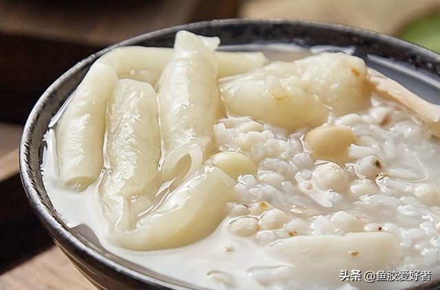 花胶粥大全 花胶粥的做法与功效窍门