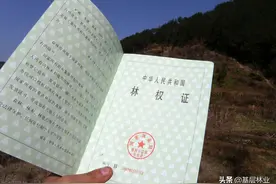 农民朋友问81年的老版林权证是否还有效？根据实际情况有三种结果图片