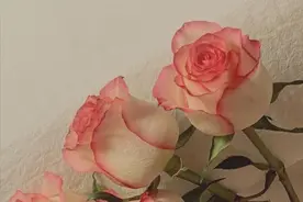 其实，男人主动给你“这三样东西”，他是真的很爱你图片