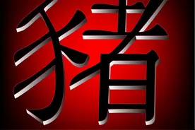 生肖猪注意了！下个月你将顺风顺水，心想事成，迎来好运连连！图片