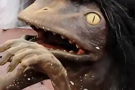 吉林公园湖面发现“水怪”，身上长着翅膀和触角，它究竟是什么？图片