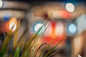 师父亲述“我的后半生”：半百以后舒服的活法，让一切都顺其自然图片