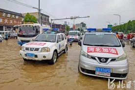 擦亮眼睛！别让“爱心”变“扎心”图片