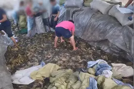 查封、整治、道歉！“老坛酸菜面”能退吗？记者实测——图片