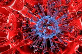 最新新冠病毒-XE变异毒株问世，传播性或变得更强图片