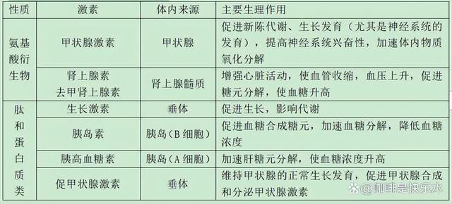 高中生物-人体内环境稳态的生理意义及调节