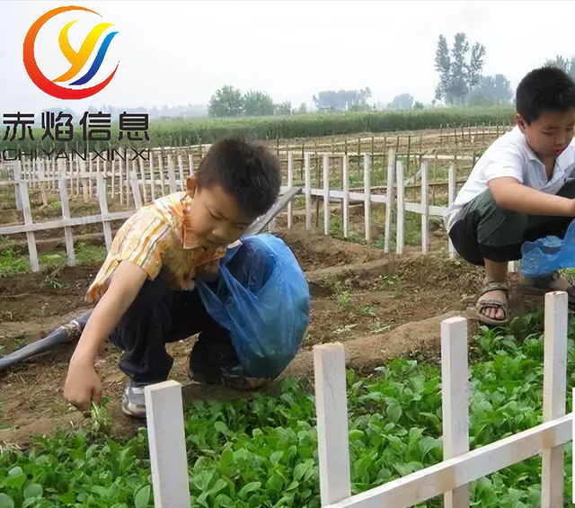 “共享农场”小程序一共有多少端口,你知道吗?