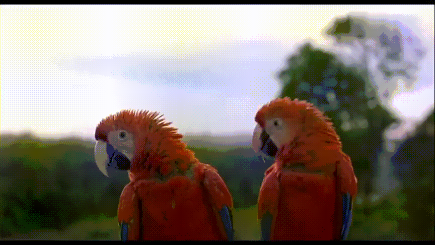 暑期强烈推荐！5部高分纪录片，知识点满满，一定要带孩子看